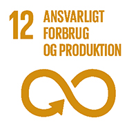 mål 12