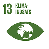 mål 13